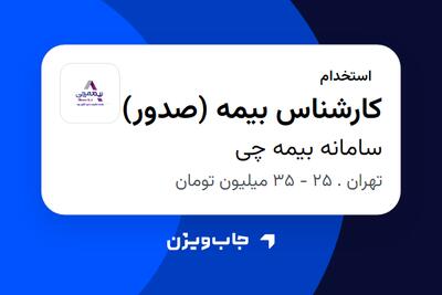  استخدام کارشناس بیمه (صدور) در سامانه بیمه چی