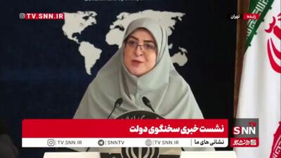 مهاجرانی: دولت برای حمایت از شرکتهای هواپیمایی که تحریم شدند برنامه دارد + جزئیات