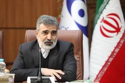  کمالوندی: نمی‌توان این اقدام اخیر و بد‌خواهانه دولت آمریکا را چیزی جز رفتاری کودکانه تفسیر کرد/ ایالات متحده تنها طرف برجام بود که تصمیم گرفت آن را نادیده بگیرد+فیلم