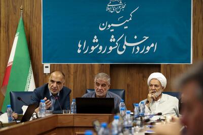  عکس: نشست کمیسیون امور داخلی کشور و شوراهای مجلس