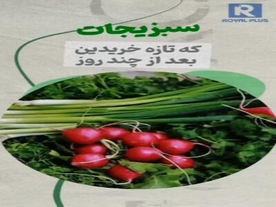 یک ترفند ساده برای ماندگاری طولانی تر سبزیجات | آخرین خبر