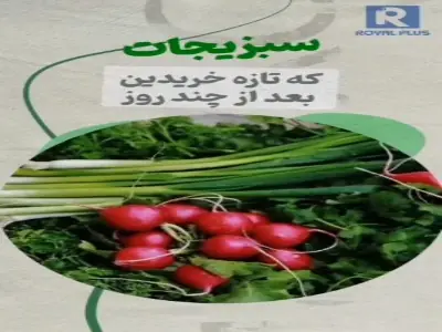  یک ترفند ساده برای ماندگاری طولانی تر سبزیجات | آخرین خبر