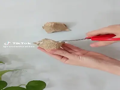 فلامینگو درست کن | آخرین خبر