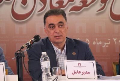  اردشیر سعدمحمدی عضو شورای راهبردی بخش معدن شد