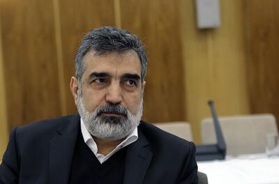 کمالوندی: حفاظت از اطلاعات تأسیسات هستهای اهمیت ویژهای دارد