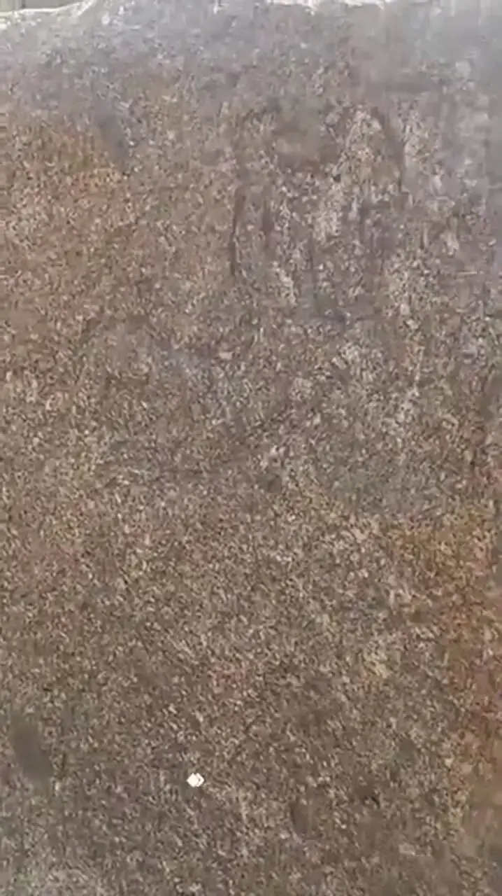 گنجیابان زیر پای سنگنگاره اشکانی را خالی کردند