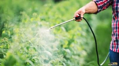  توقیف آفت‌کش‌های ممنوعه؛ قاچاق و تقلبی در مانور سراسری نظارت