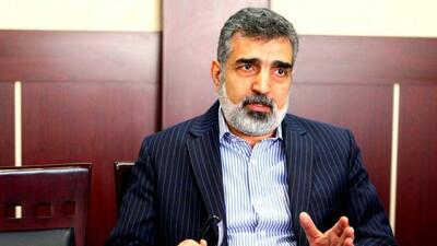  کمالوندی: به گروسی اعتماد نداریم/ اتریش تسلیم فشار آمریکا شد