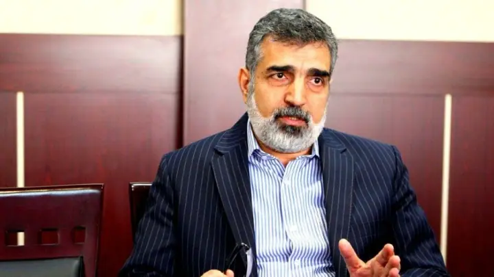 کمالوندی: به گروسی اعتماد نداریم/ اتریش تسلیم فشار آمریکا شد