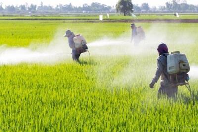  آفتکش‌های ممنوعه، قاچاق، تقلبی و تاریخ گذشته توقیف می شوند