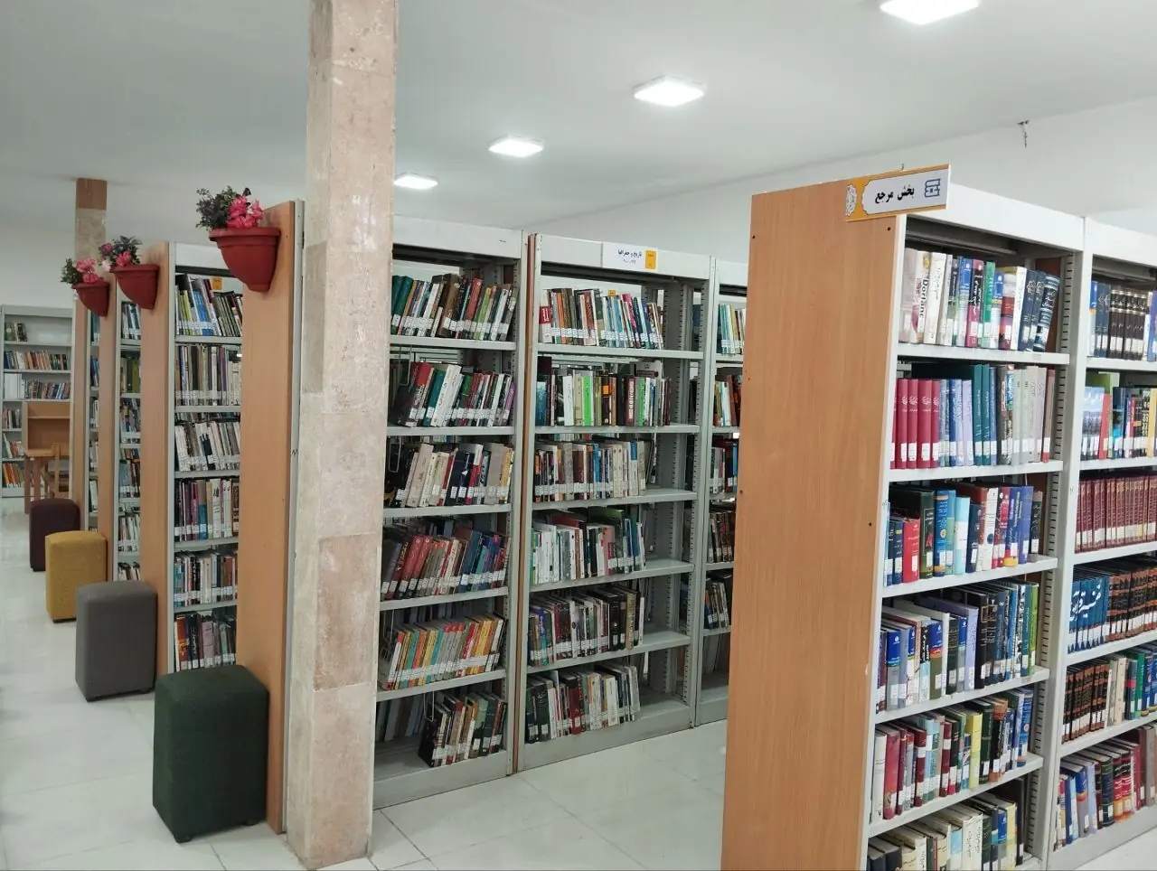 کتاب از قفسه تا خلوت خانه