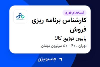 استخدام کارشناس برنامه ریزی فروش در پایون توزیع کالا