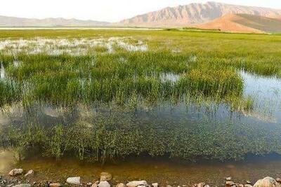  رفع تصرف ۲ هکتار از اراضی تالاب «تنوردر» دورود