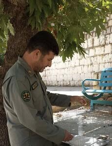  دستگیری صیادان سهره پاوه