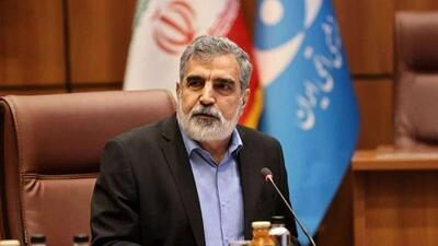  کمالوندی:حملات نظامی نمی تواند دانش هسته ای ما را ازبین ببرد