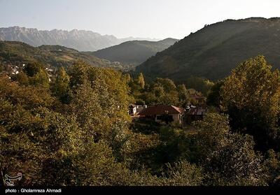 حفاظت از جنگلهای هیرکانی بدون اعتماد مردم امکانپذیر نیست - تسنیم