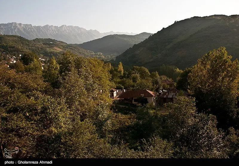 حفاظت از جنگلهای هیرکانی بدون اعتماد مردم امکانپذیر نیست - تسنیم