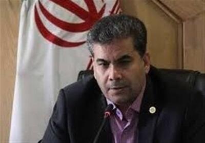  ظهرابی: برای اجرای طرح مدیریت جنگل‌های هیرکانی عجله نکنیم - تسنیم