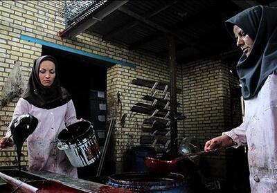 بالفعل کردن استعداد زنان خط مشی جدید همدان برای توسعه اقتصادی - تسنیم