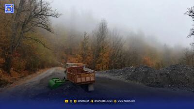  پیچ بری، اسم رمز‌ کوهخواری؛ در جنگل‌های گلندرود چه می‌گذرد؟