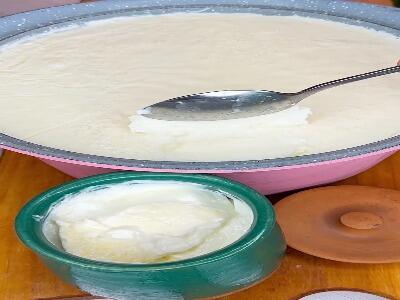 خودت تو خونه به سادگی یه ماست شیرین و سفت درست کن | آخرین خبر