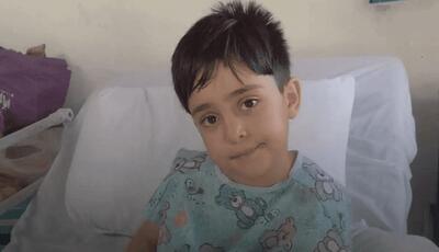 مرگ تلخ کودک 4ساله پس از حمله سگ ولگرد؛ علت فوت اعلام شد | آخرین خبر