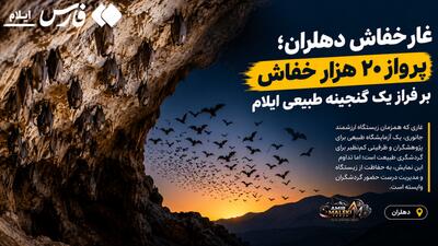 پرواز ۲۰ هزار خفاش بر فراز یک گنجینه طبیعی ایلام | آخرین خبر
