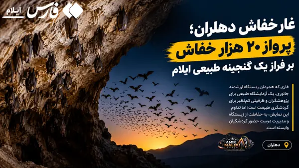 پرواز ۲۰ هزار خفاش بر فراز یک گنجینه طبیعی ایلام | آخرین خبر