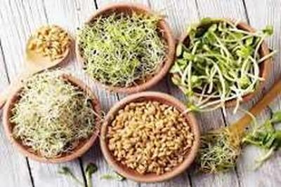 جوانه های پر خاصیت برای بدن + عکس