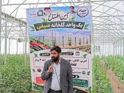 حمایت بنیاد برکت از ۳۳۷ هکتار گلخانه در کشور