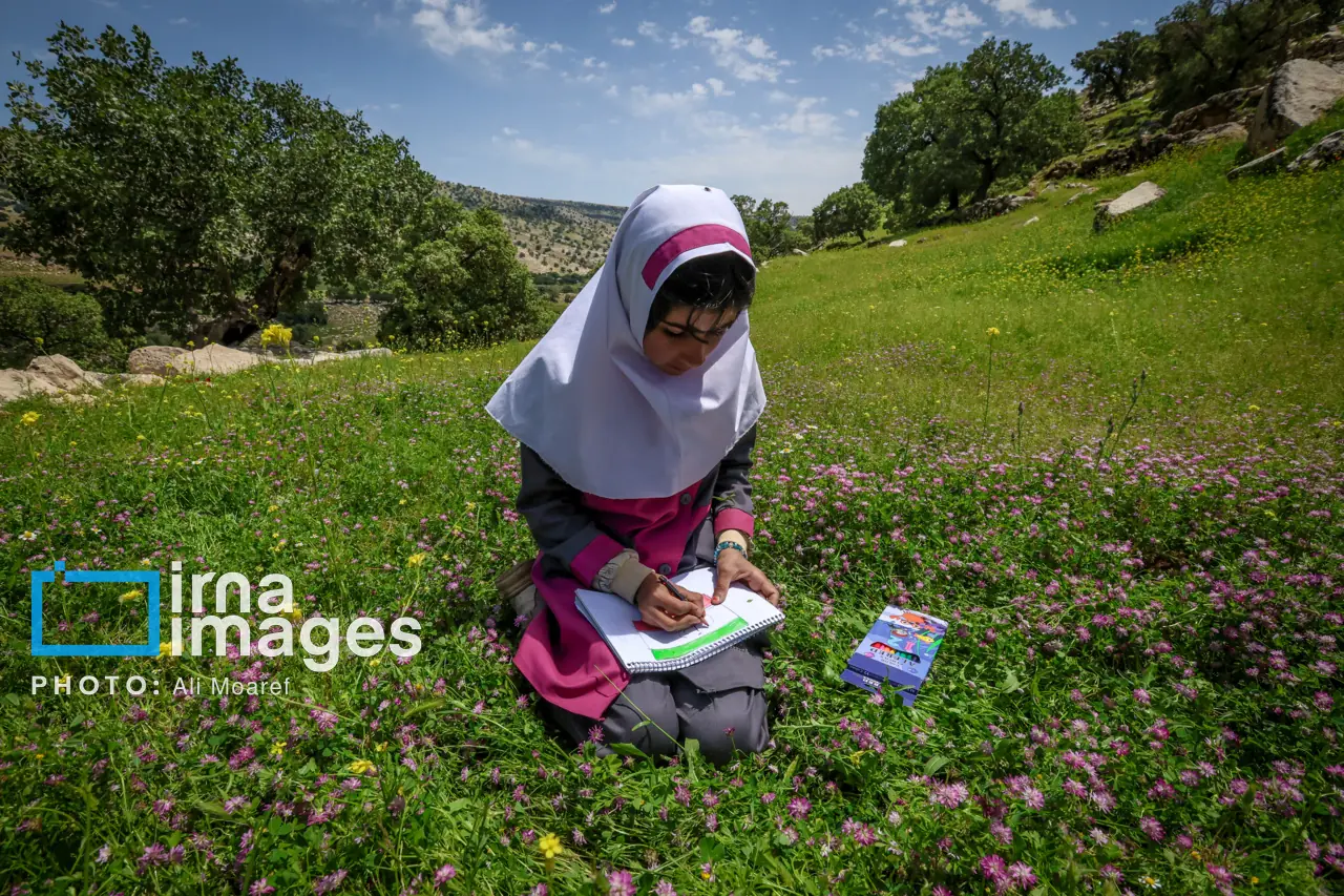  سوادآموزی ۱۶ هزار و ۴۰۹ نفر در دزفول
