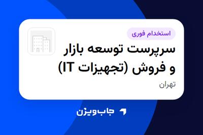 استخدام سرپرست توسعه بازار و فروش (تجهیزات IT) در سازمانی فعال در حوزه تجارت / بازرگانی