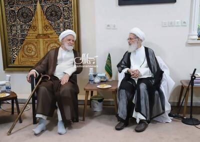  مهدی کروبی به دیدار آیت الله بیات زنجانی رفت+ عکس