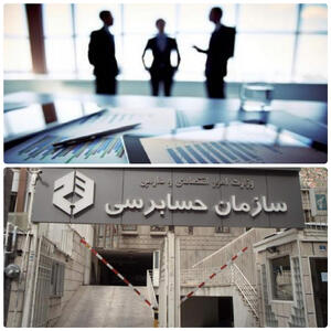 زیان همگانی