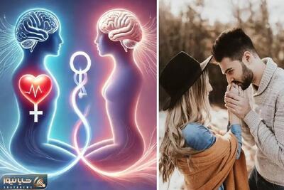  چند بار رابطه جنسی در هفته مفیده و چه زمانی میتونه مضر باشه؟ روش های بالا بردن کیفیت