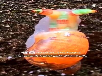حلزون زامبی | آخرین خبر