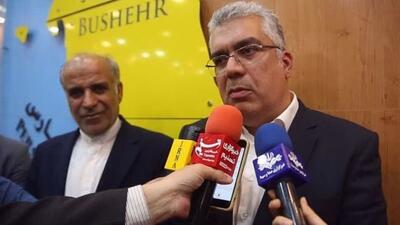  برنامه‌ جدید دولت برای حمایت از صادرکنندگان و تسهیل رفع تعهدات ارزی        