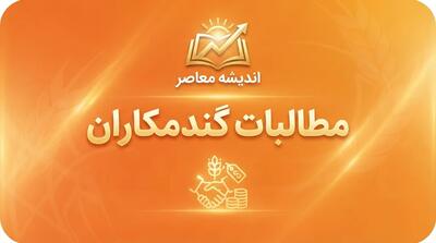  آخرین خبر از پرداخت ۹۰ درصدی مطالبات گندمکاران؛ واریز ۱۰۰ همت دیگر در هفته آینده