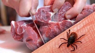 ۱۱ مبتلا تب کریمه در یزد؛ «گوشت را ۲۴ ساعت در یخچال نگه دارید»