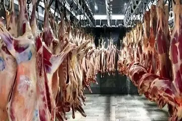 قیمت گوشت قرمز امروز ۲۷ شهریور ۱۴۰۵/ ران گوساله و گوسفندی کیلویی چند شد؟ + جدول