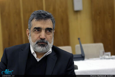  سخنگوی سازمان انرژی اتمی: تنها تعداد انگشت‌شماری کشتی در حال تردد در تنگه هرمز هستند