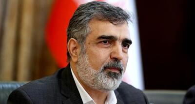  سخنگوی سازمان انرژی اتمی: ایران گزینه‌های زیادی برای دفاع از خود دارد / فارغ از اینکه آنها چه میزان فشار بر ما وارد کنند، ما بر این وضعیت غلبه خواهیم کرد