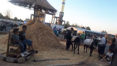 جشنواره گندمِ نگار در بردسیر کرمان+ فیلم