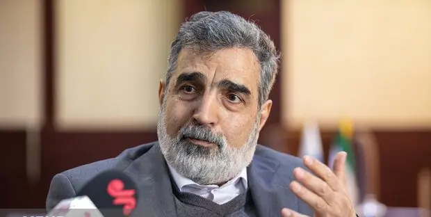 کمالوندی: ایران گزینههای زیادی برای دفاع از خود دارد