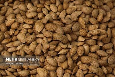  اینفوگرافیک؛ پیش‌بینی برداشت ۱۴ هزار تن بادام در آذربایجان شرقی