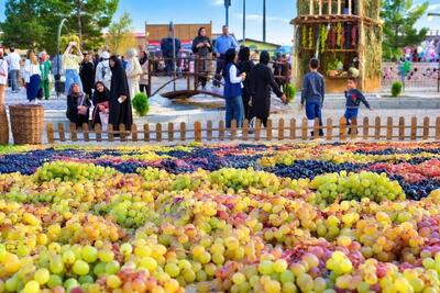  جشنواره انگور ارومیه ظرفیتی برای جذب سرمایه‌گذار در حوزه گردشگری است