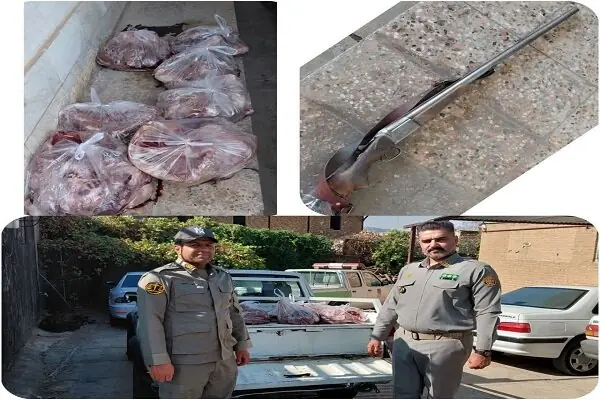  کشف و ضبط ۳ رأس لاشه گراز وحشی از متخلفان زیست‌محیطی در لرستان