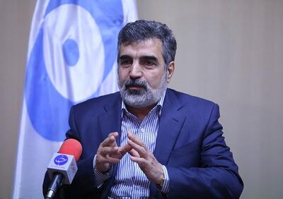  سخنگوی سازمان انرژی اتمی: ایران گزینه‌های زیادی برای دفاع از خود دارد