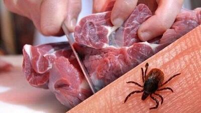  شمار مبتلایان به تب کریمه کنگو در یزد