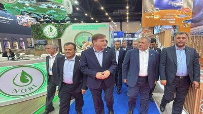 توسعه بازارهای صادراتی بوشهر در حوزه صنایع غذایی و شیلات